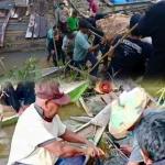 MENJALA