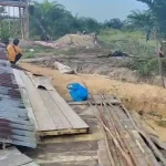 gajah
