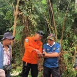 kebun karet