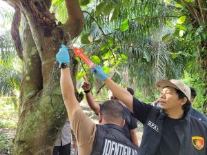 Pria Tua Ditemukan Tewas Gantung Diri di Pohon Nangka di Mundam, Ternyata Ini Penyebabnya