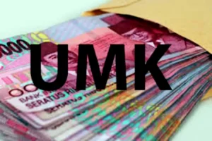 Segini Besaran UMK Dumai 2026 yang Diusulkan