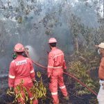 IMG_20260128_180935_copy_1152x864