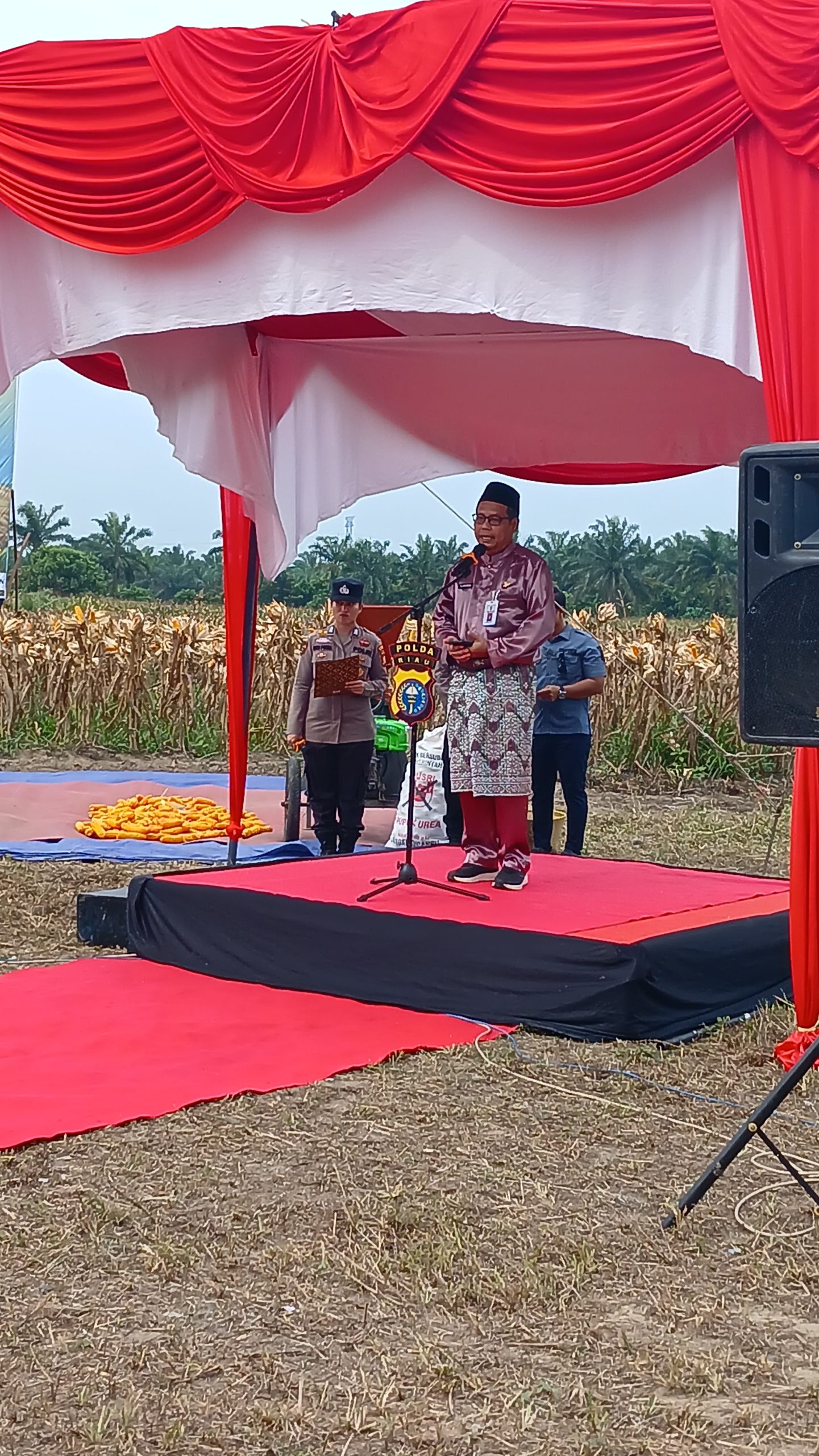 Sekda Pelalawan Hadiri Panen Raya Jagung Polres, Dukung Ketahanan Pangan Nasional