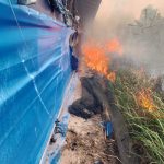 Dampak Karhutla di Tanjung Palas Dumai, Ribuan Ekor Ayam Mati IMG-20260324-WA0003