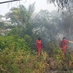 Riau Sumbang 302 Titik Panas, Bengkalis Terdeteksi Terbanyak Disusul Pelalawan IMG-20260325-WA0005