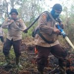 IMG_20260327_162918_copy_1843x1382_copy_460x345