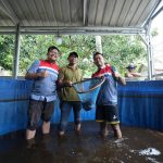 Kelompok Nelayan Binaan CSR Pertamina Patra Niaga Kilang Dumai Panen Ikan Nila Salin IMG-20260418-WA0068