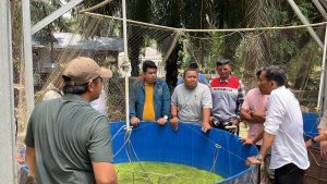 Berkah di Tengah Kepungan Sawit, Tangan Dingin Suparman Bangun Kemandirian Ekonomi Bangko Jaya