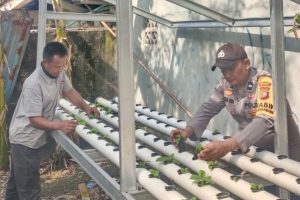 Di Tengah Kesibukan, Bhabinkamtibmas Laksamana Setia Dampingi Warga Menanam Harapan dari Pekarangan Rumah